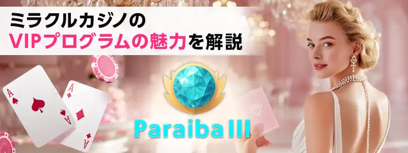 ミラクルカジノ (Miracle Casino)のVIPプログラムの詳細