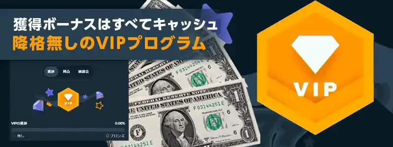 VIP制度がアツイ！ボーナスは全部キャッシュでゲット