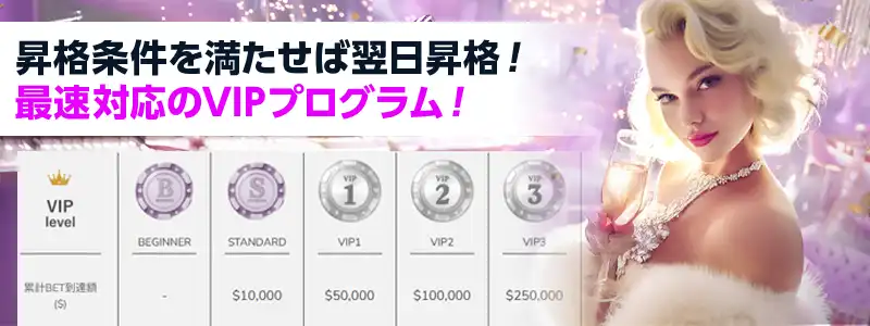 即日最高レベルも可能！降格なしのVIP制度