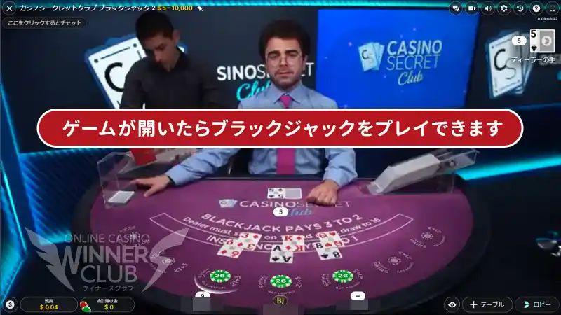 ブラックジャックをプレー