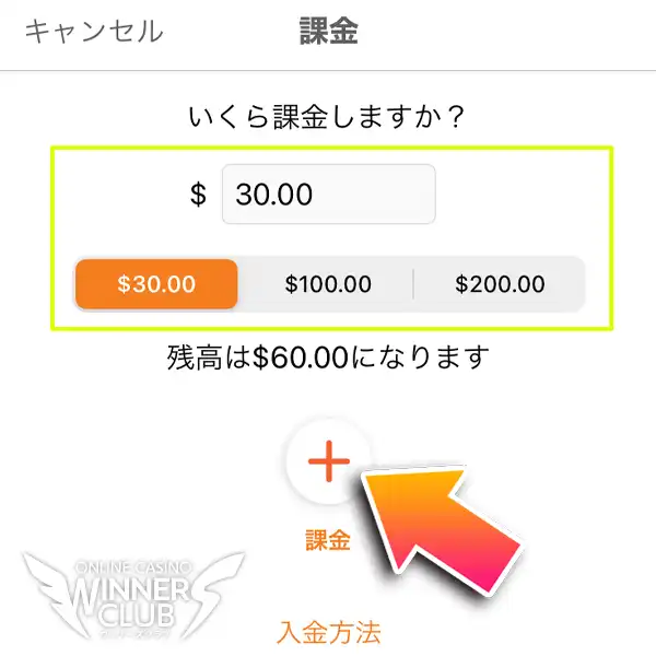 入金額を指定