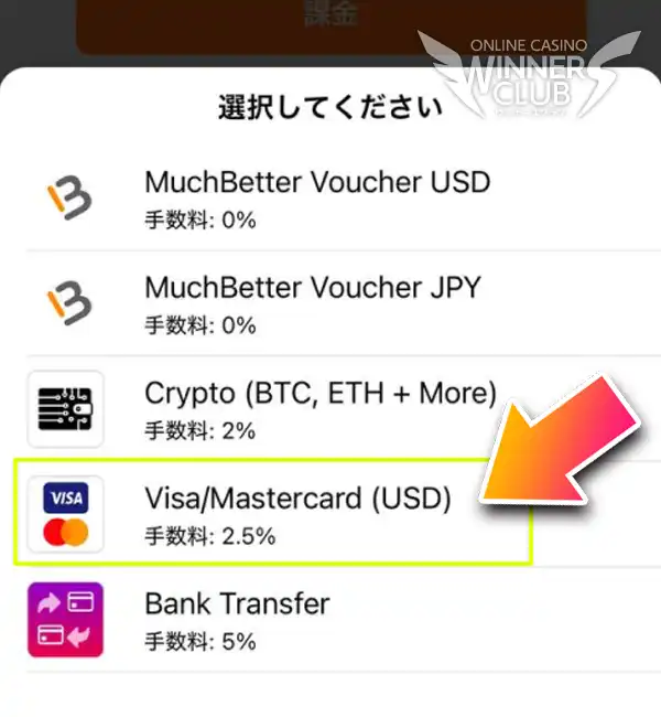 「Visa/Mastercard」を選択