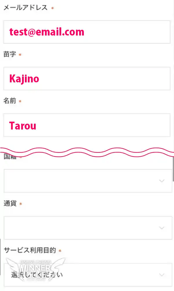 登録情報を入力